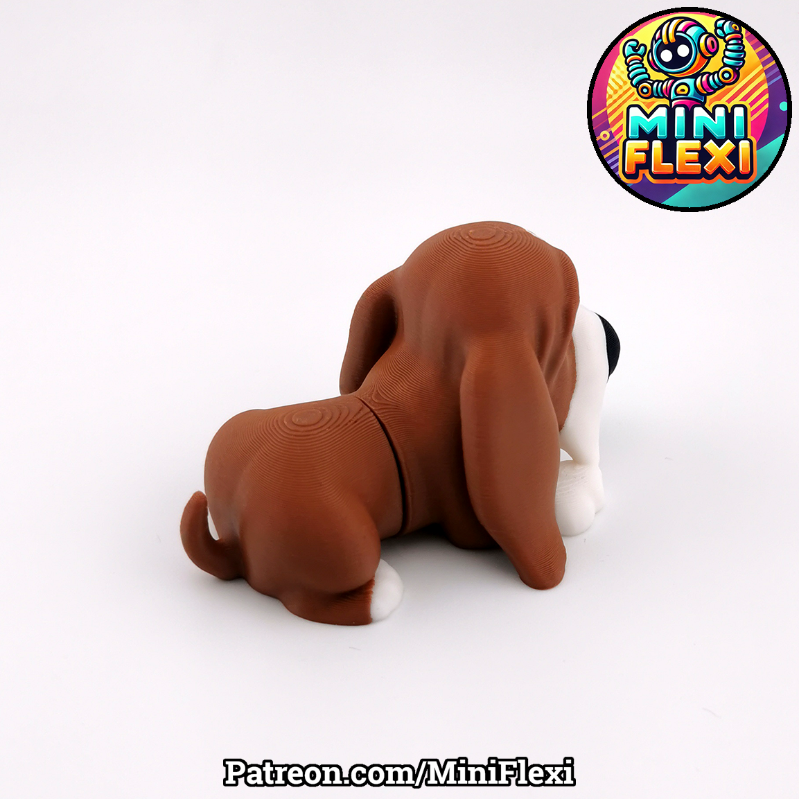 Basset Picture 4